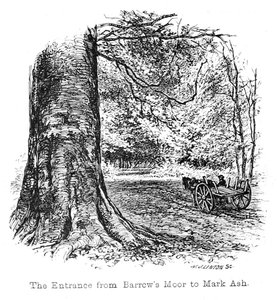 The Entrance from Barrows Moor to Mark Ash